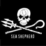 sea sheperd